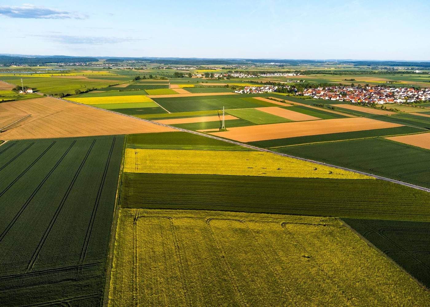 Crop field