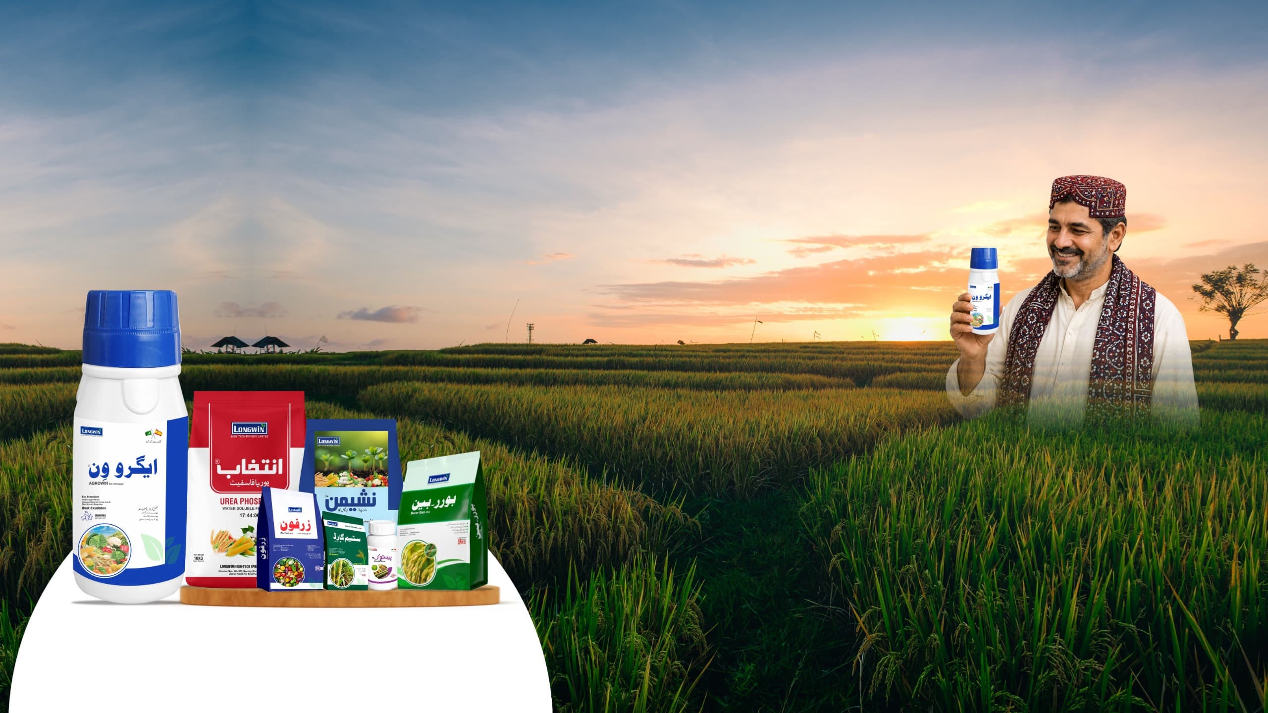 Rice Shines Every Day, The Choice Of Agro One