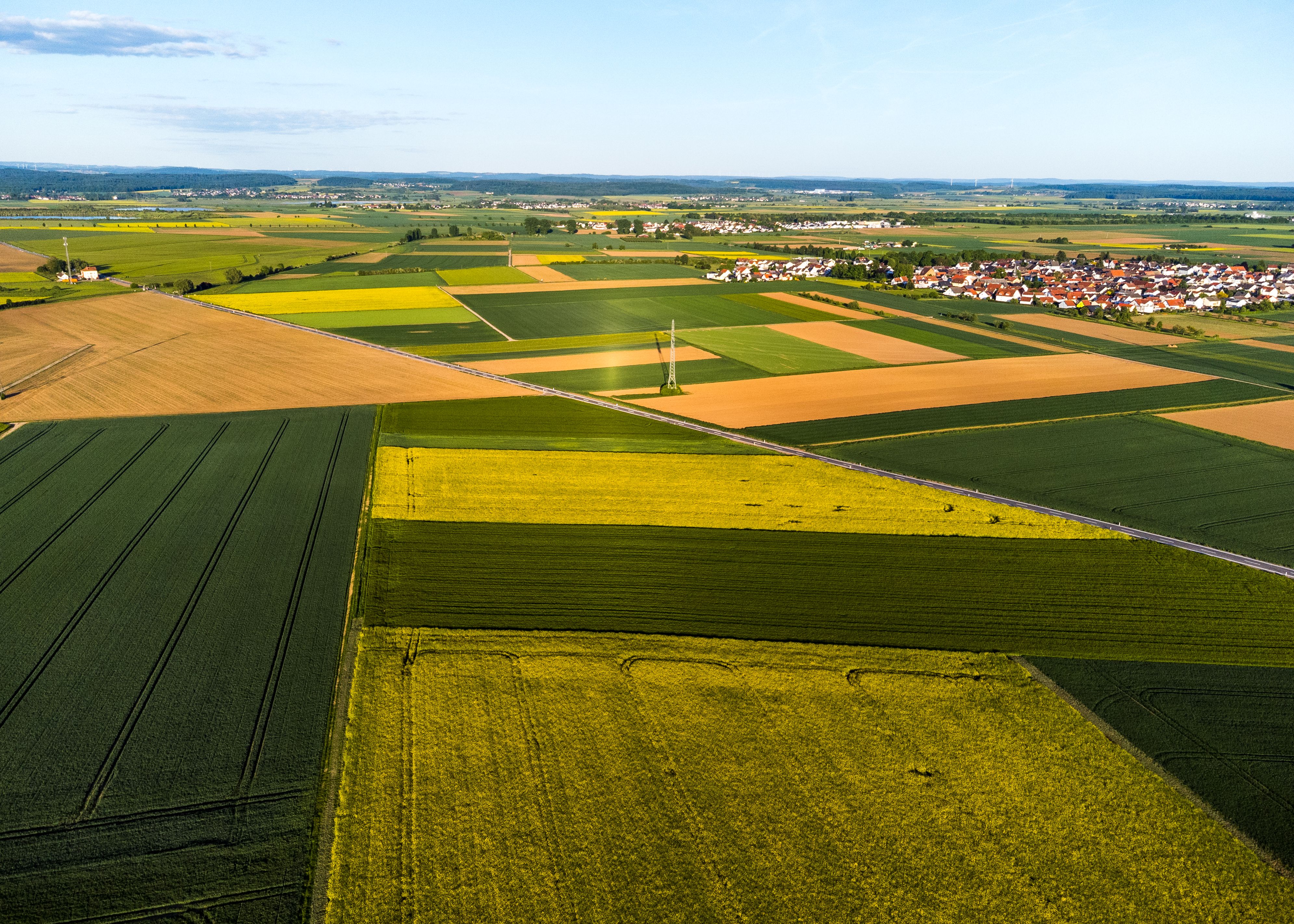 Crop field