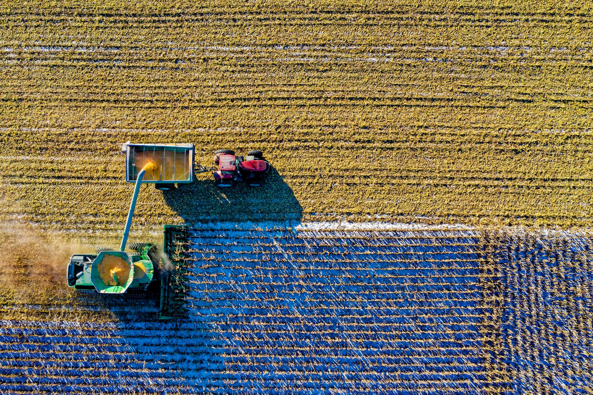 Innovating Agriculture Through Advanced Technology