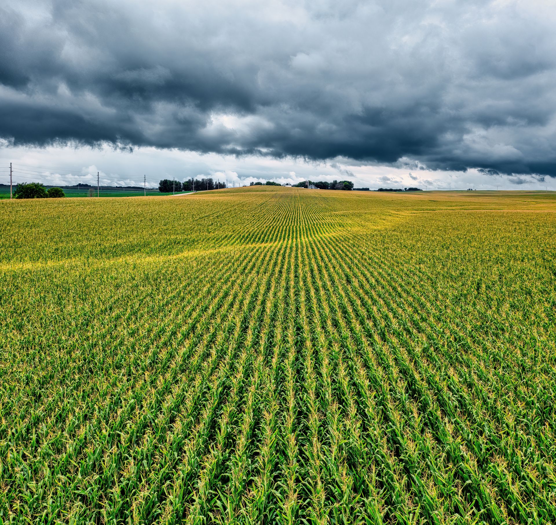 Science-Driven Solutions for Modern Farming