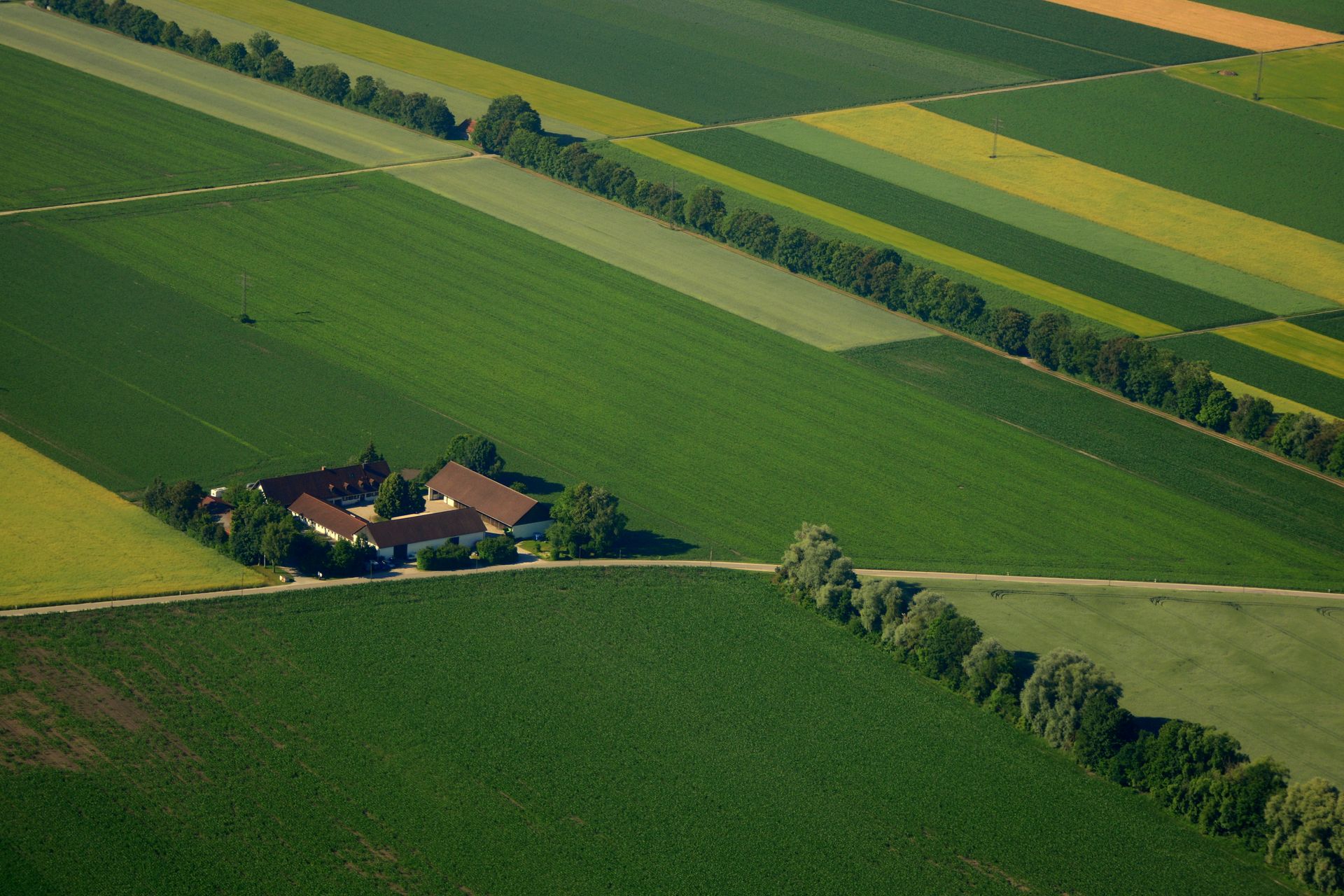 Growing a Greener, More Productive Tomorrow